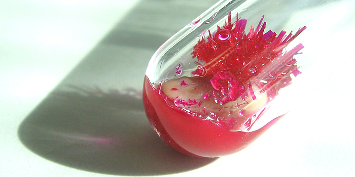 ein Reagenzglas mit roter FLüssigkeit und roten Kristallen