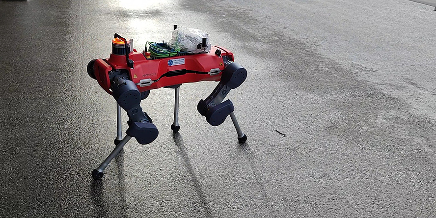A robot that looks like a dog walks on a wet road