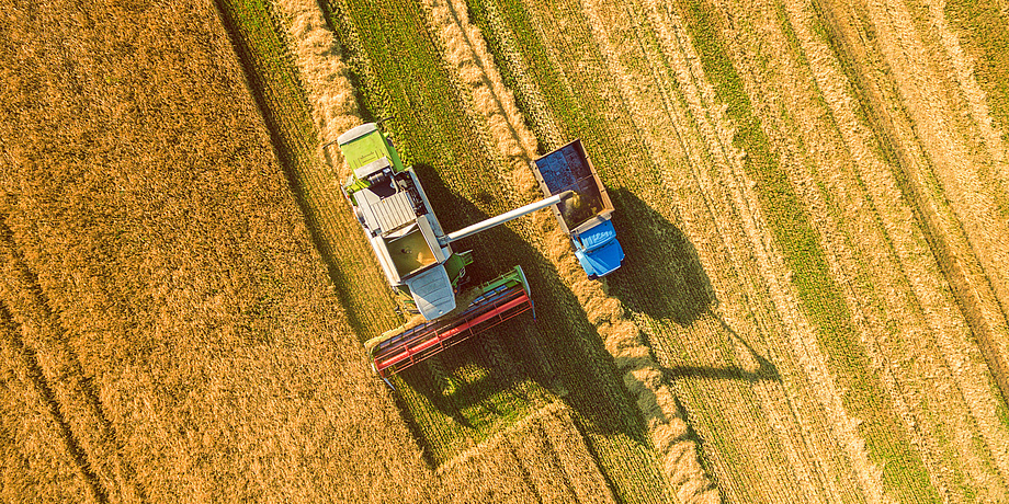 Bird's eye view: A combine harvester harvesting a field and loading the crop into the trailer of a tractor.