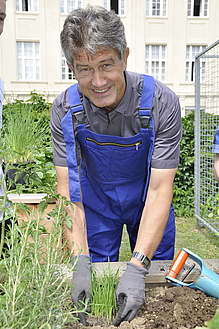 Man with dark hair and blue overalls wears grey gardening gloves and gardens.