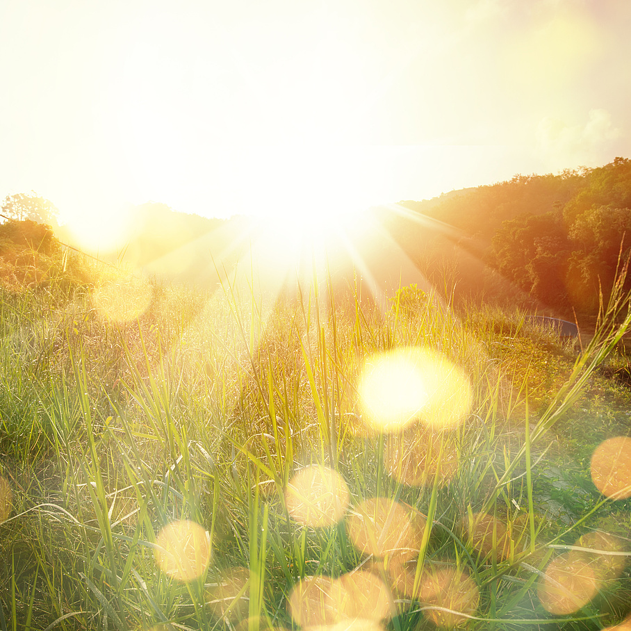 Sunrise above a field.