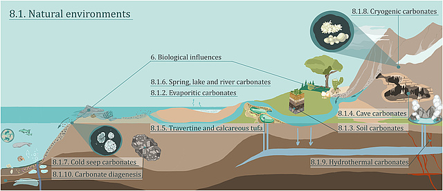 Fig1: Schematic overview about CaCO3 precipitation in natural aquatic environments.