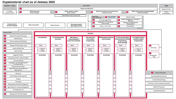 Organisational chart of TU Graz. 