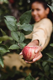 ein Junge hält einen Apfel in der Hand