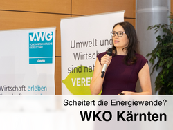 Sonja Wogrin mit Mikrofon hält einen Vortrag vor einem Hintergrund mit Bannern der Volkswirtschaftlichen Gesellschaft Kärnten und einer Umweltbotschaft. Der Titel "Scheitert die Energiewende? WKO Kärnten" ist im Vordergrund sichtbar.