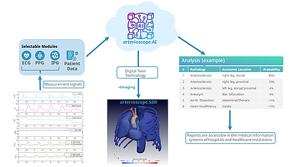 Grafische Darstellung von Auswerungsmethoden zur Früherkennung von Herz-Kreislauf-Erkrankungen mittels Signalerfassung, Machine-Learning-Analyse und Digital-Twin-Technologie.