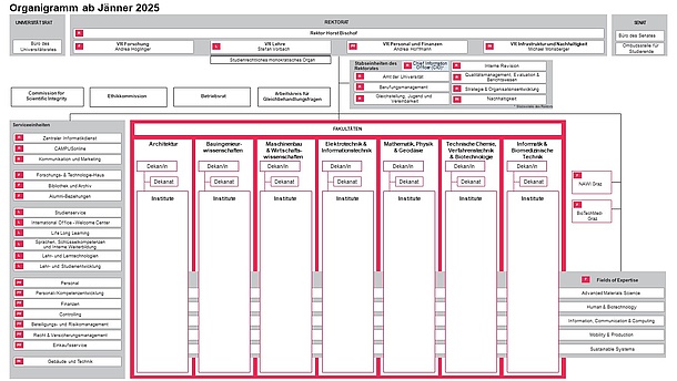 Das Organigramm der TU Graz. Bildquelle: TU Graz