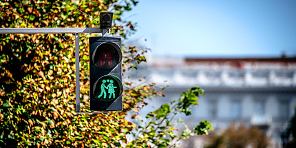 A pedestrian traffic light shows a green light, in the background a tree and a building.