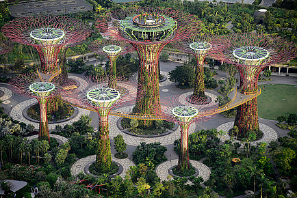 Supertrees Gardens by the Bay - © Gerhard Huber