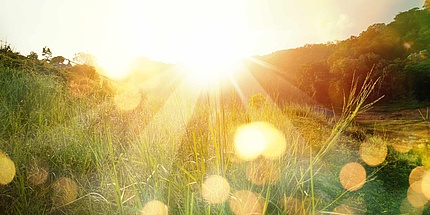 Sonnenuntergang über einem Feld.